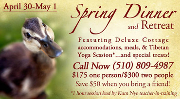 spring dinner